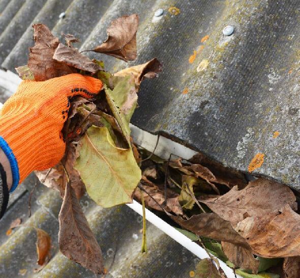 Gutter debris removal and downspout cleaning ensuring proper water drainage in NJ