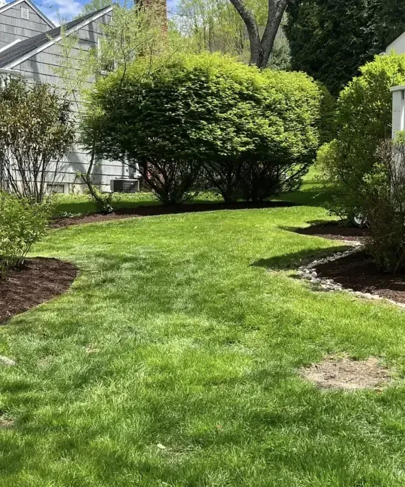 Landscaping in New Jersey with clay soil preparation, plant selection, and durable installations designed for freeze thaw conditions in Hackettstown NJ