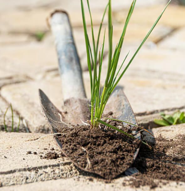 Landscape bed preparation with edging weed removal and proper mulch application in NJ