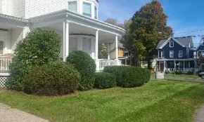 Custom landscape design plan for backyard garden and outdoor living space