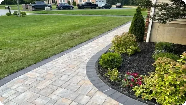 Detailed landscape design plan showing layout plants and outdoor features