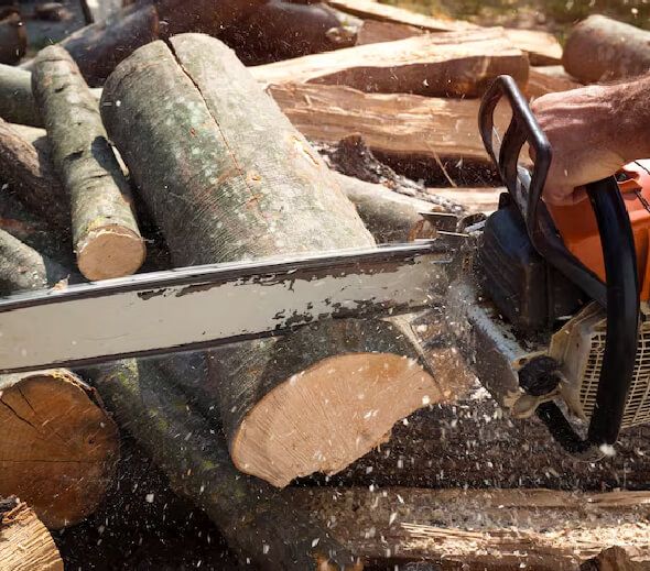 Large tree removal using rigging equipment and controlled dismantling in Hackettstown NJ