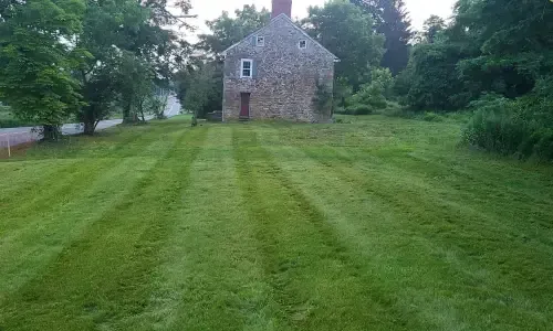 Lawn Mowing and Maintenance