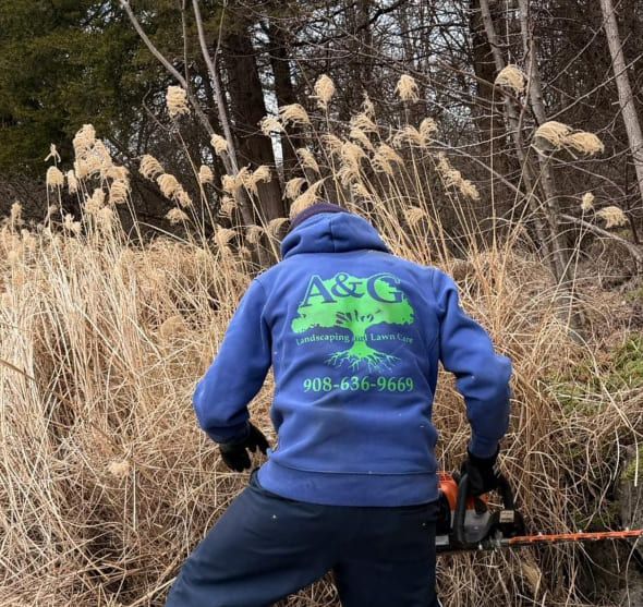 Seasonal landscaping services covering spring cleanup, summer maintenance, and fall yard preparation in New Jersey