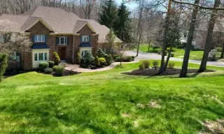 Spring and fall yard cleanup with leaf removal and debris clearing