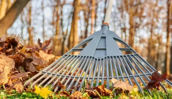 Seasonal yard cleanup in NJ including gutter cleaning, branch removal, and full property maintenance for year round care