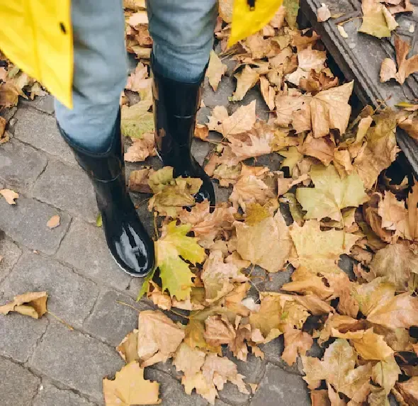 Spring cleanup services in Hackettstown NJ removing yard debris, cutting back dead growth, and preparing lawns for new season growth