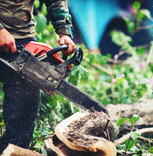 Storm damaged tree removal after high winds and heavy snow in New Jersey residential property