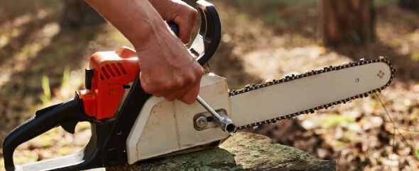 Stump grinding service after tree removal to clear space for landscaping in New Jersey