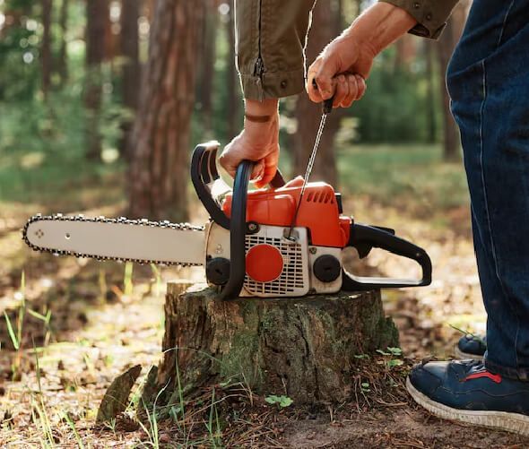Tree trimming and branch removal near rooflines and structures for safety and clearance in NJ