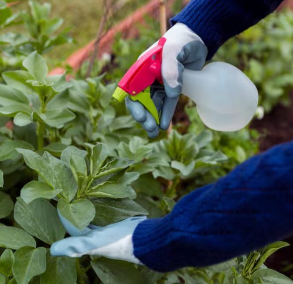Weed control services in Hackettstown NJ targeting crabgrass, dandelions, and invasive lawn weeds for healthier turf