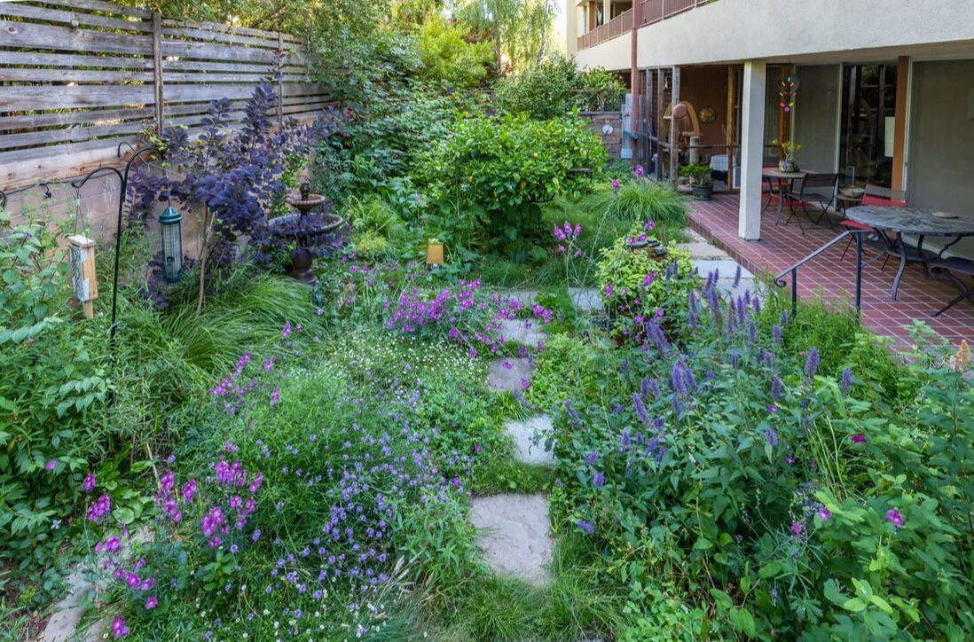 A garden filled with lots of purple flowers and plants.