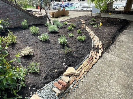 A garden being built with bricks , rocks and plants.