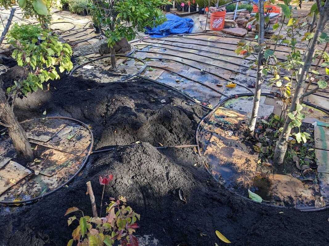 A pile of dirt is sitting in the middle of a garden.