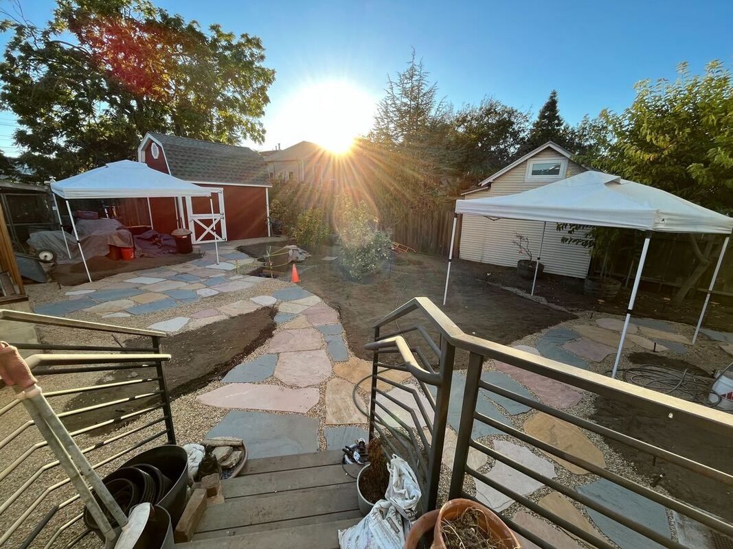 The sun is shining through the trees in the backyard of a house.