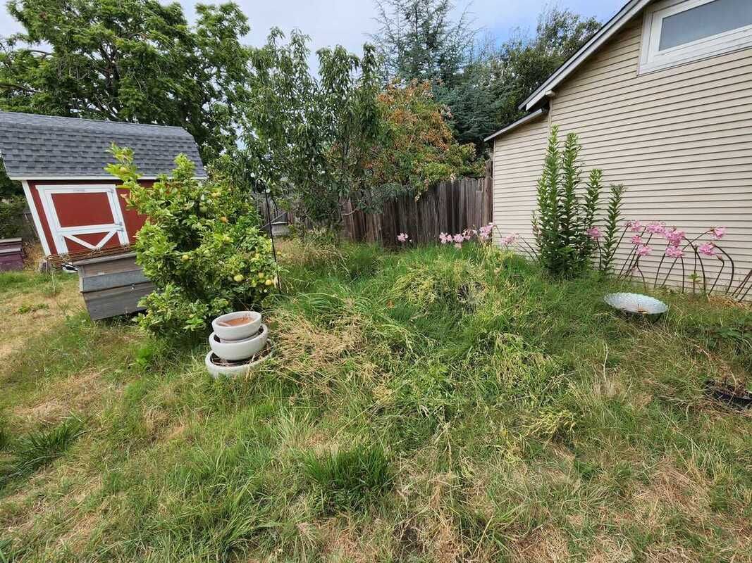 A backyard with a red barn and a white house.