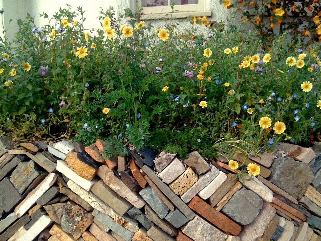 A garden with flowers and rocks in front of a house