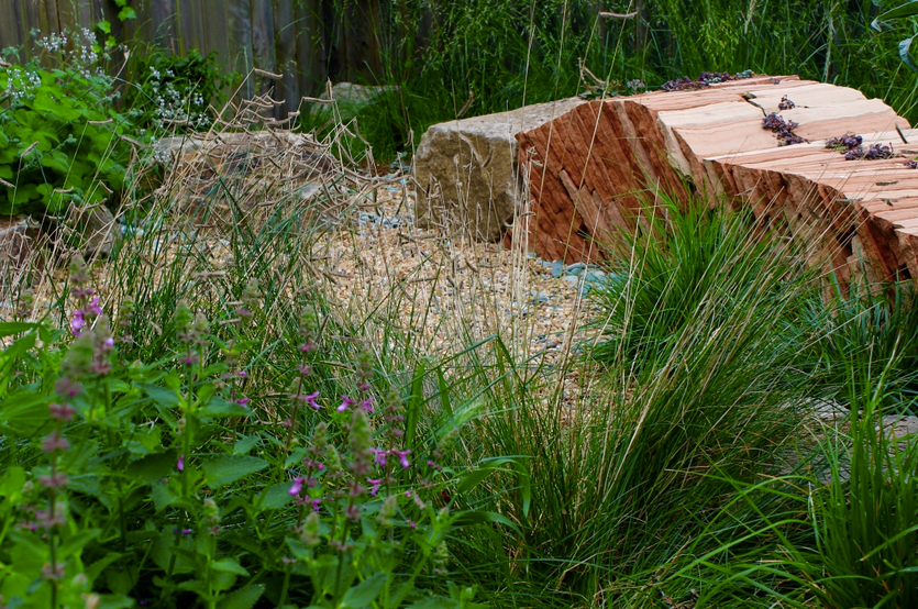 A wooden bench is sitting in the middle of a garden surrounded by plants and rocks.