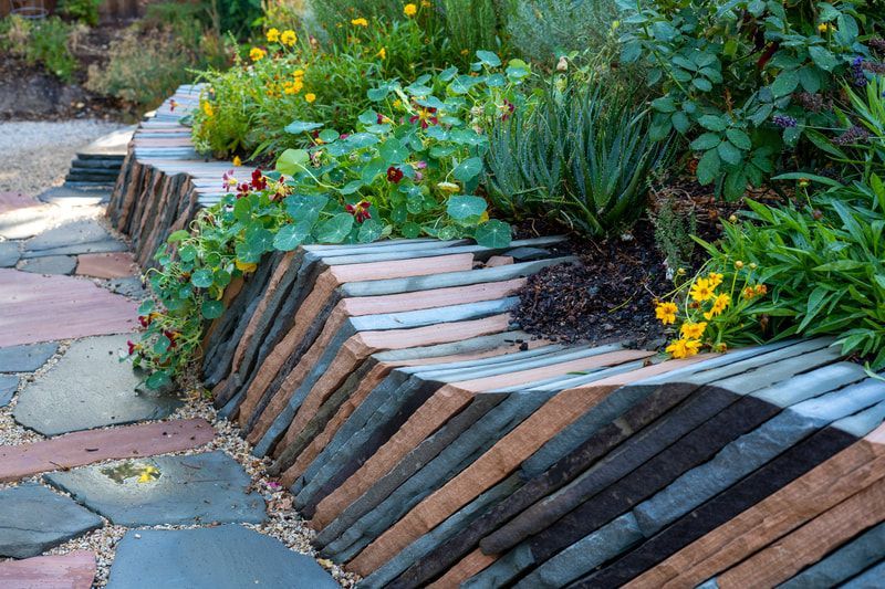 A garden filled with lots of flowers and plants