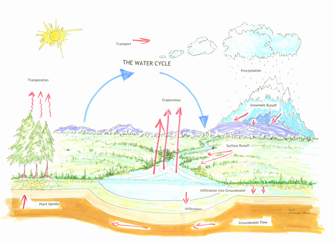 A diagram of the water cycle with arrows pointing in different directions.