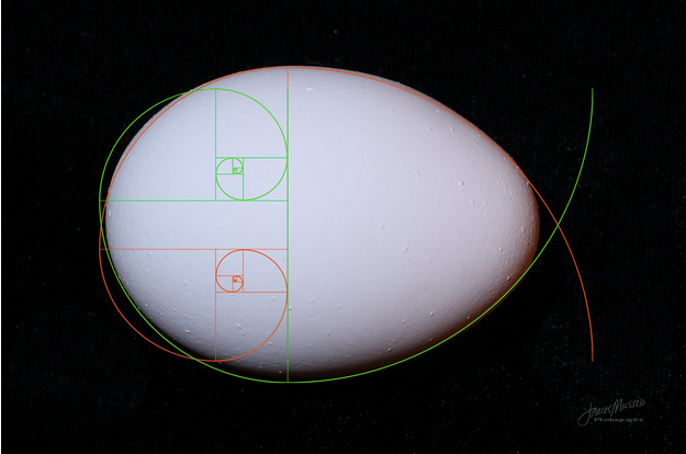 A white egg with a green and red circle around it