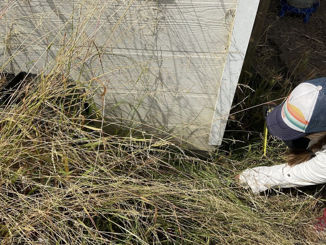 A woman is kneeling down in the grass next to a building.