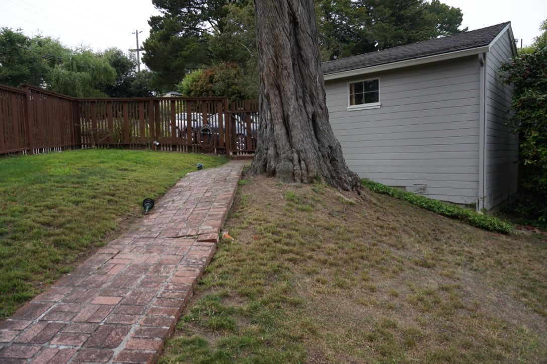 A brick walkway leading to a shed in a backyard.