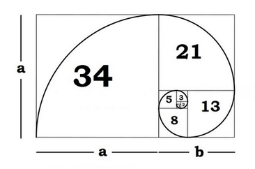 A black and white drawing of a golden spiral with the number 34 on it.