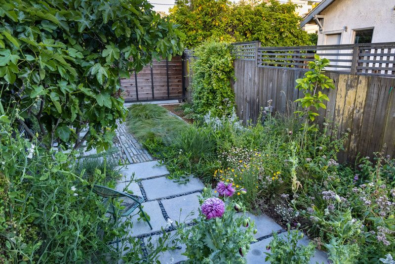 A garden with a fence and a path surrounded by plants and flowers.