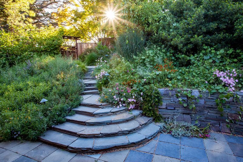 A stone staircase in a garden with the sun shining through the trees.