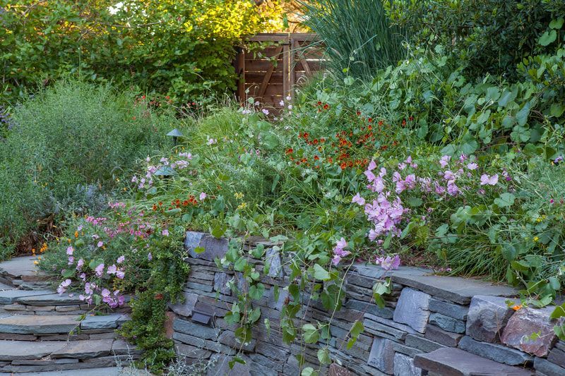 A stone wall surrounded by flowers and plants in a garden.