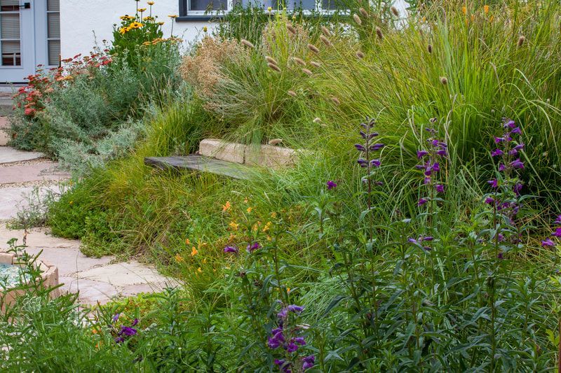 A garden filled with lots of plants and flowers in front of a house.