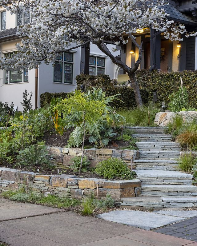 A stone staircase leading up to a house with a tree in the background.