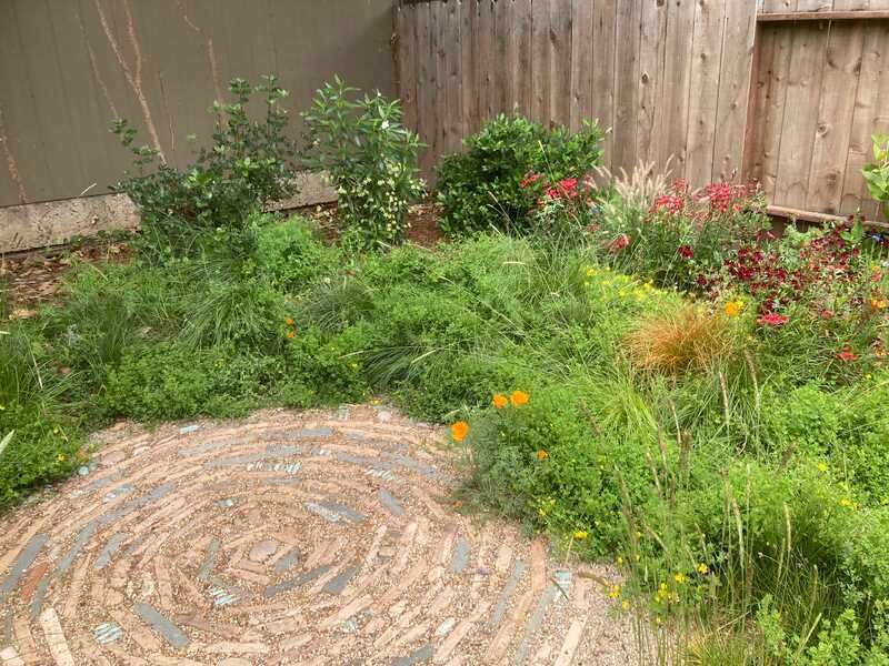 A garden with a circular stone walkway and a wooden fence in the background.
