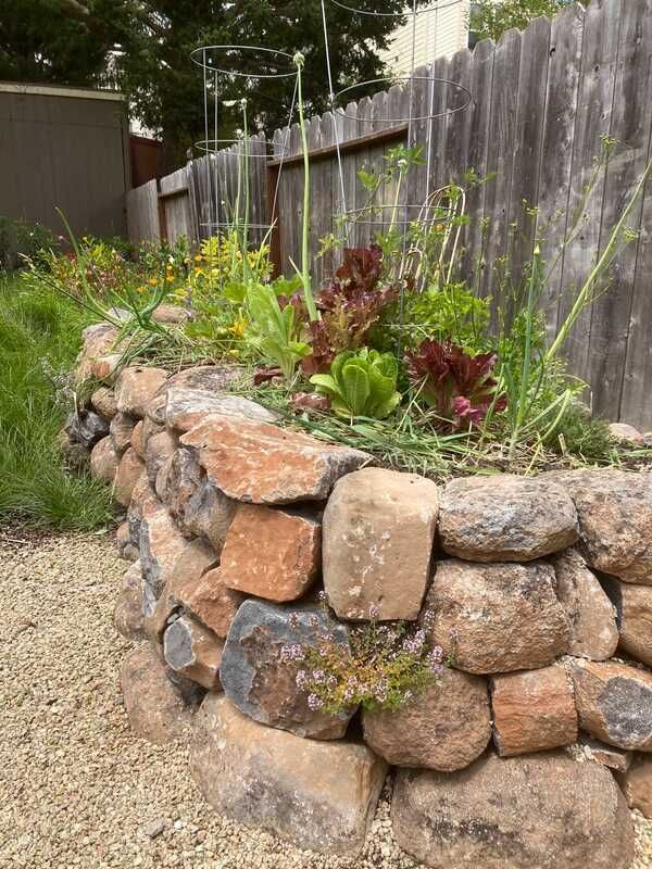 A stone wall with plants growing on it next to a wooden fence.