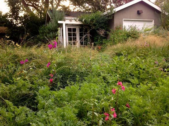 A house with a garage is surrounded by tall grass and flowers.