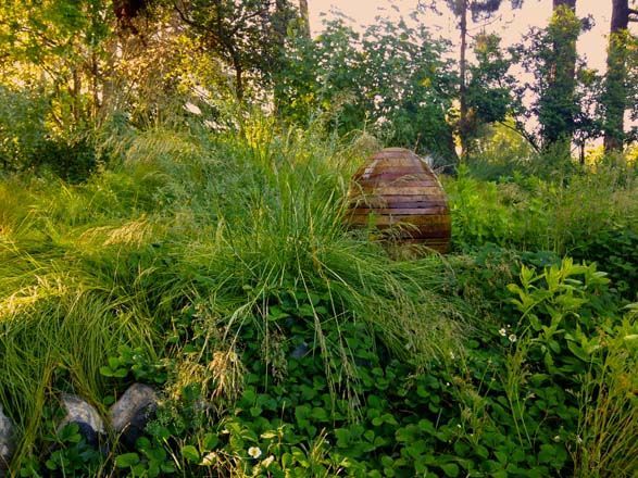 A large rock is sitting in the middle of a lush green forest.