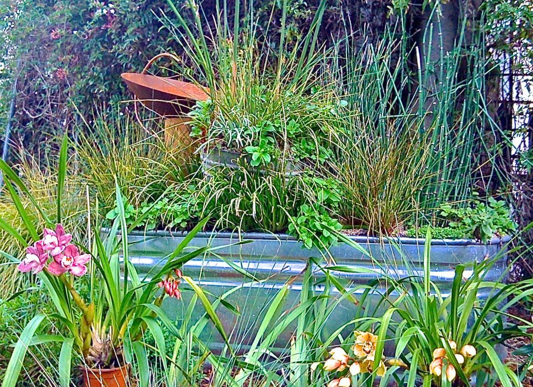 A garden filled with lots of plants and flowers.