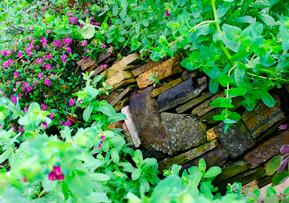 A stone wall surrounded by plants and flowers in a garden.