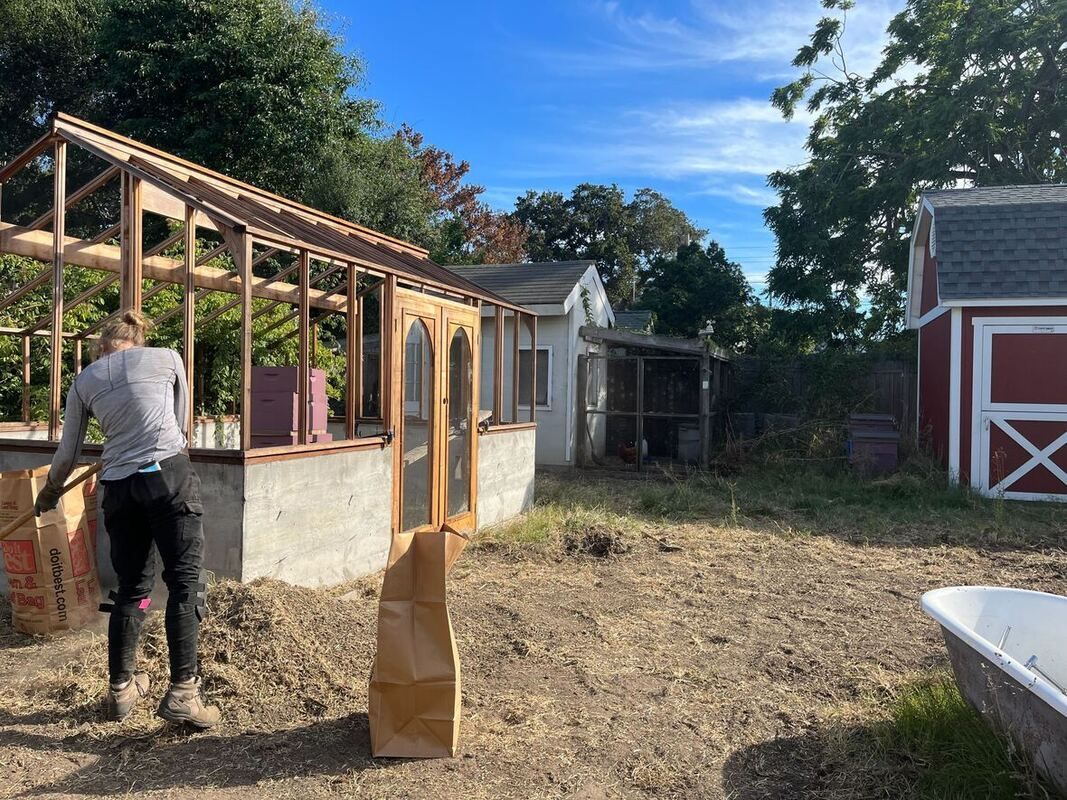 A lady is working on a greenhouse in a backyard.