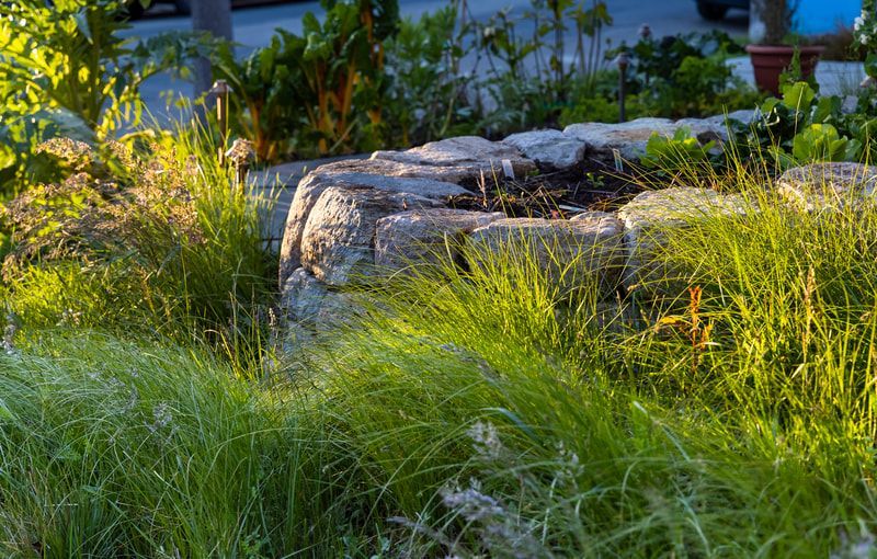 A garden filled with lots of grass and rocks.