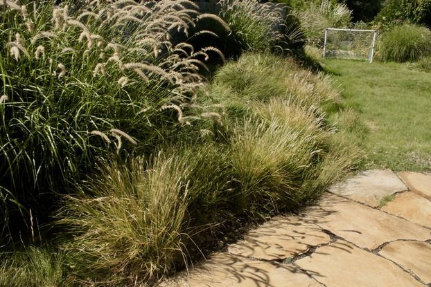 A stone walkway surrounded by tall grass and a soccer goal.