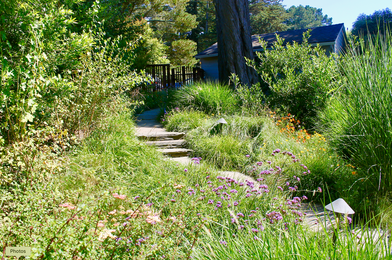 A garden with lots of plants and flowers and a stone walkway.