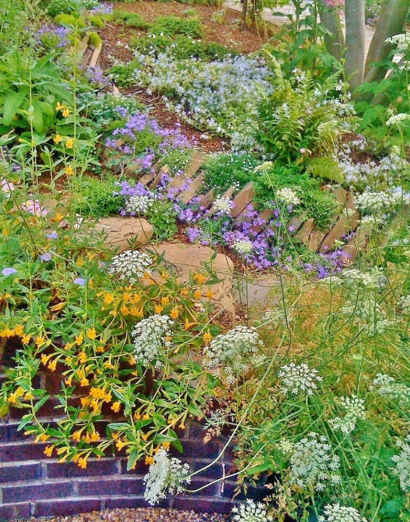 A garden filled with lots of flowers and plants