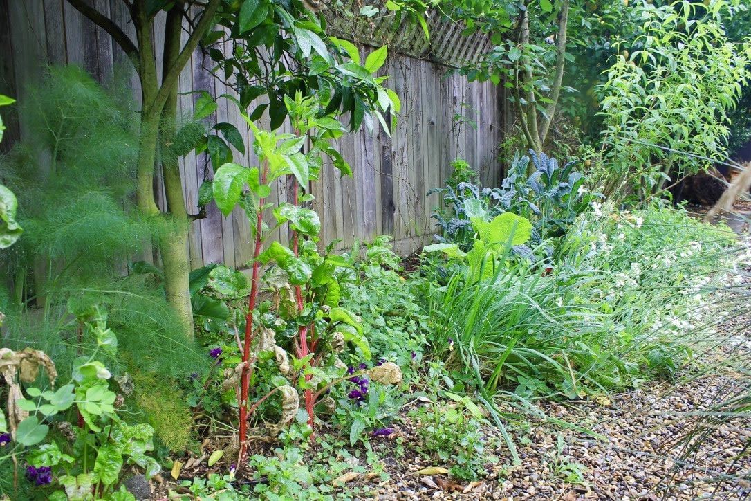 A wooden fence surrounds a garden filled with lots of plants and flowers.