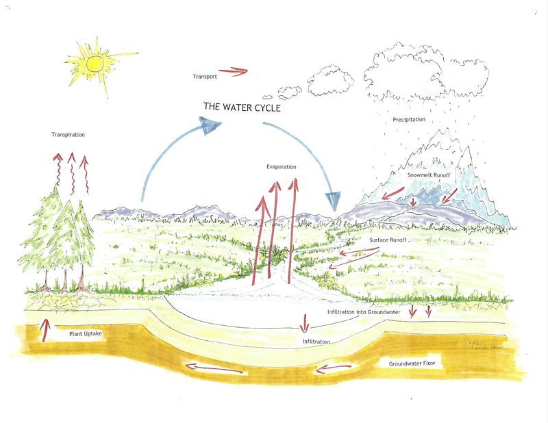 A diagram of the water cycle with arrows pointing in different directions.