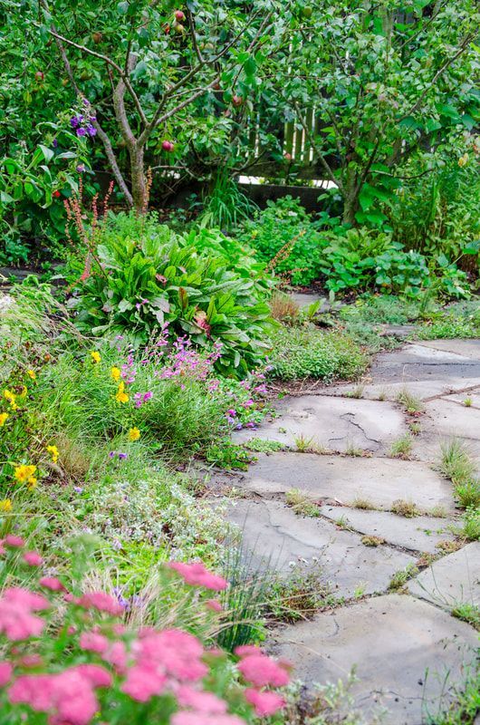 A stone path in a garden surrounded by flowers and plants.