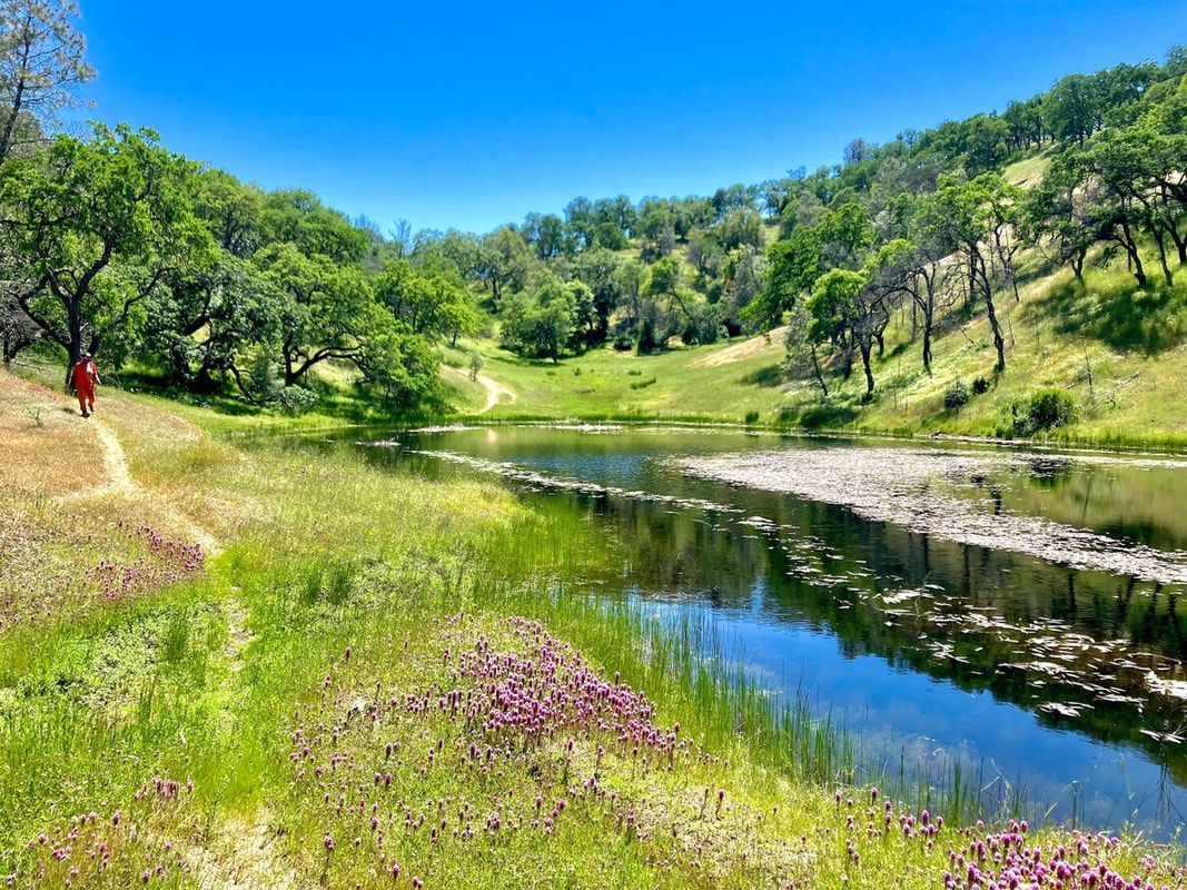 A person is walking along a path next to a lake surrounded by trees.