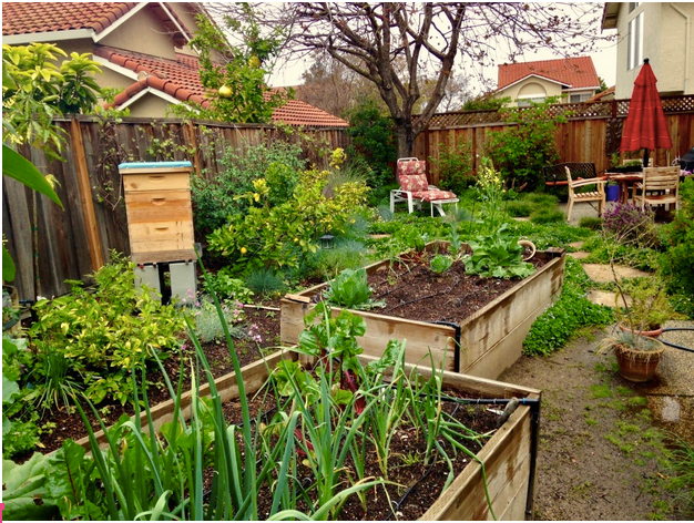 A garden with a beehive in the middle of it