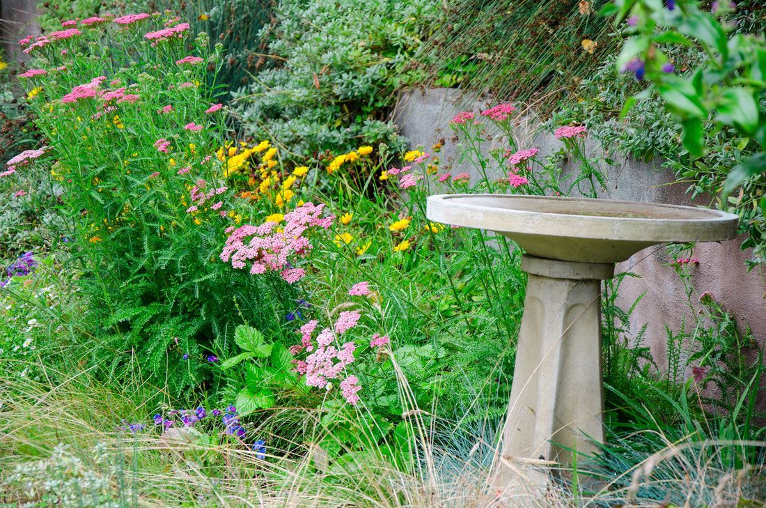 A bird bath is sitting in the middle of a garden surrounded by flowers.